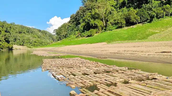 জোত পারমিটের আড়ালে কাঠ পাচার